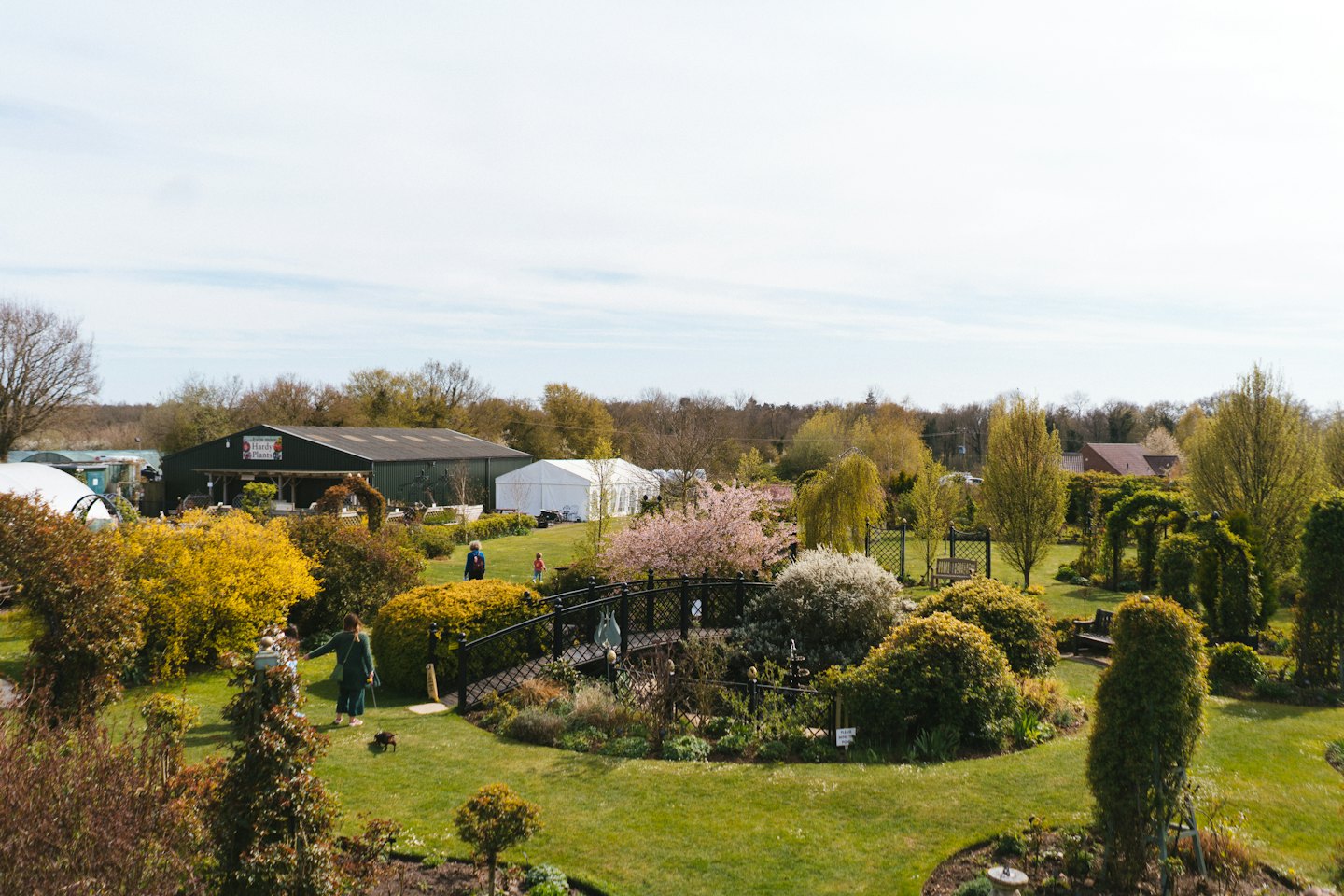 People walk through a garden center with plants and a pond.
